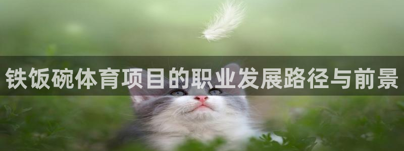 星欧娱乐属于什么档次的公司啊