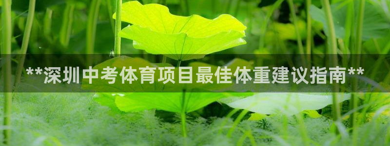 江苏星奥娱乐有限公司招聘