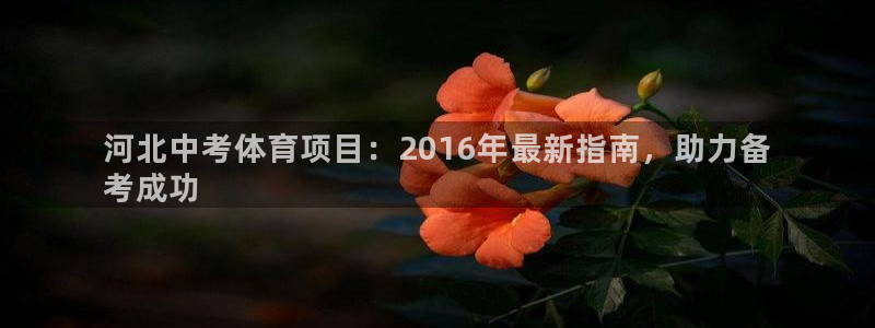 星欧娱乐测速软件下载