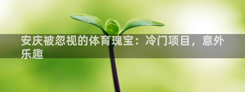 星欧娱乐24小时客服电话