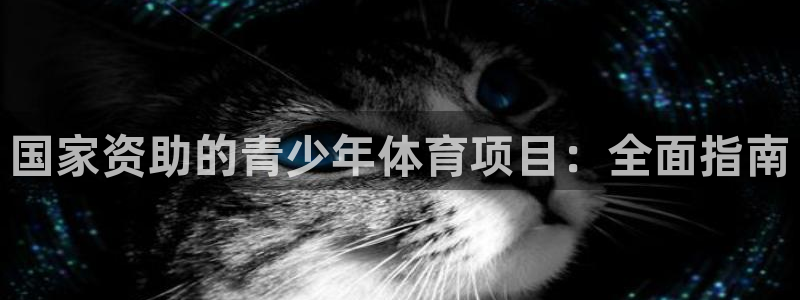 星娱乐文化传媒