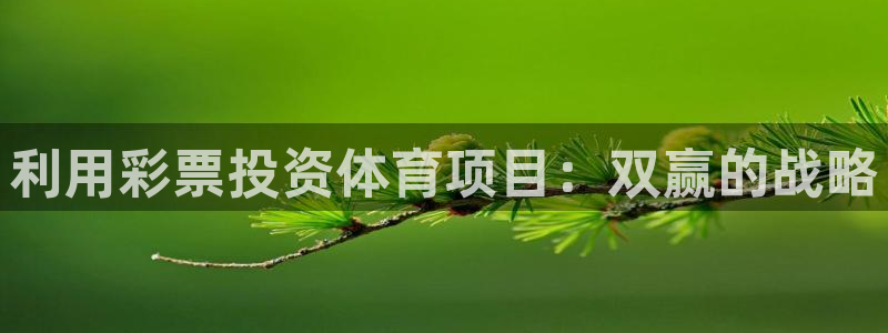 澳星国际娱乐集团