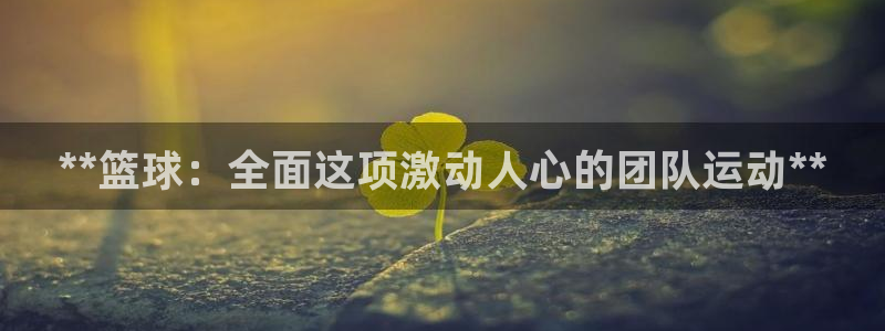 澳星国际娱乐集团