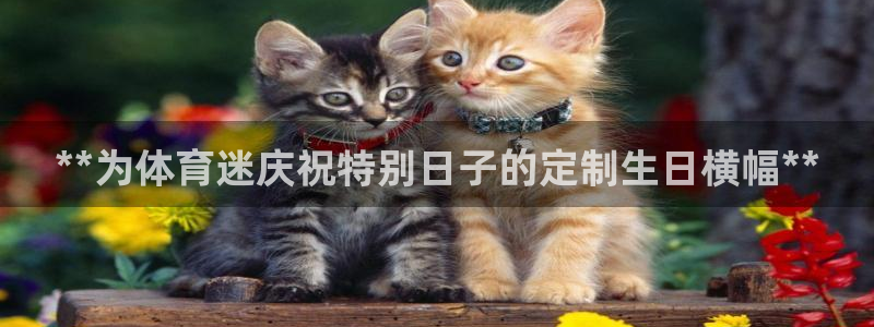 星奥娱乐旗下艺人