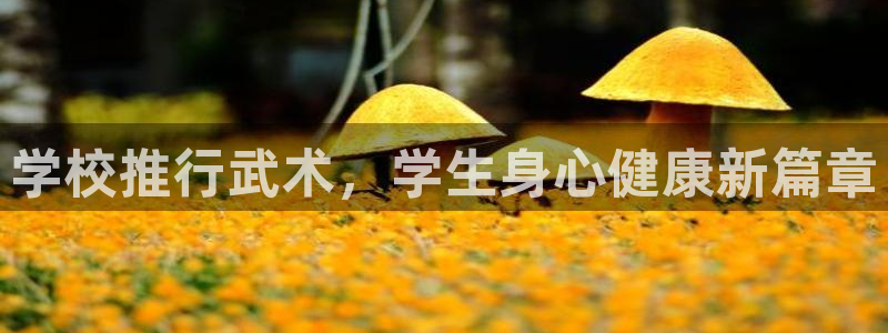 星澳娱乐公司怎么样