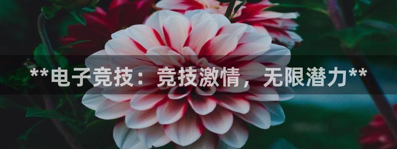 星欧娱乐官网首页下载