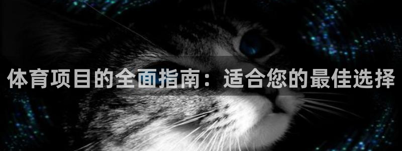 星奥娱乐旗下艺人