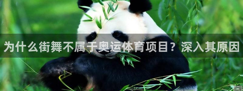 星欧娱乐app最新版本更新内容