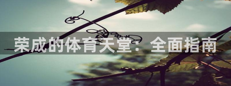 新星娱乐怎么开挂