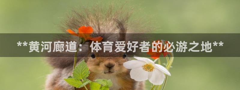 星欧娱乐官方客服联系方式电话