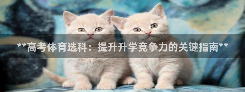 星欧娱乐银行卡怎么登录