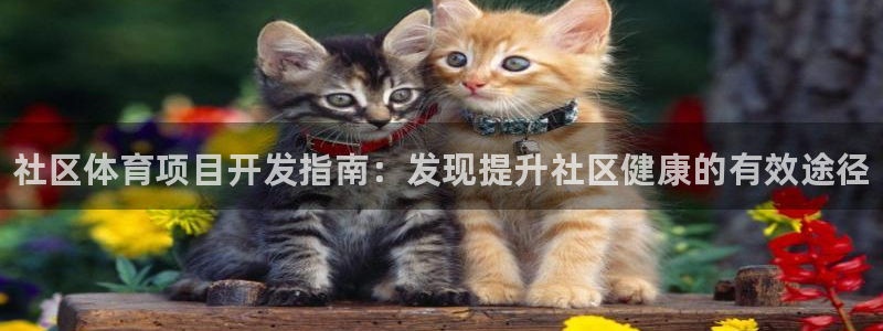 星欧娱乐测速软件下载