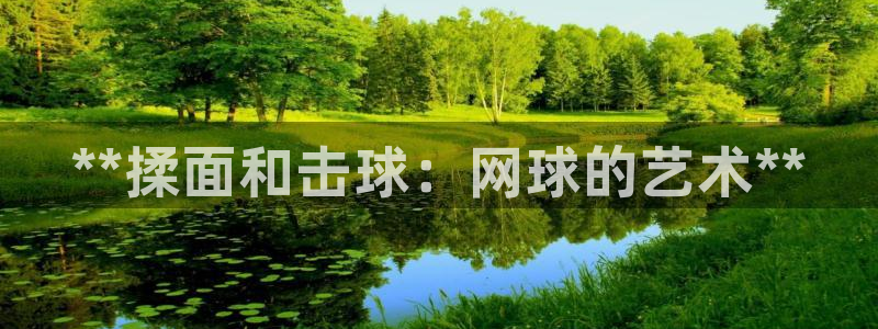 星欧娱乐公司创始人背景故事是什么