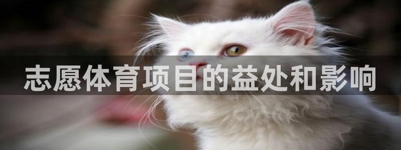 星欧娱乐游戏官网