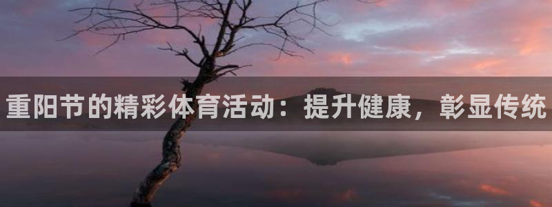 星欧娱乐联游戏评测