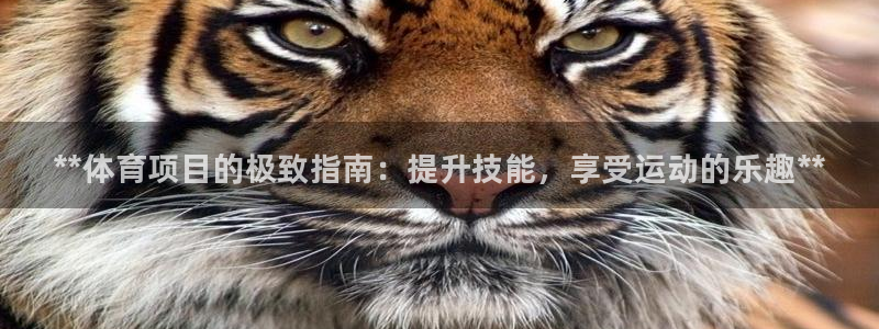 星欧娱乐最建议买的三个游戏账号