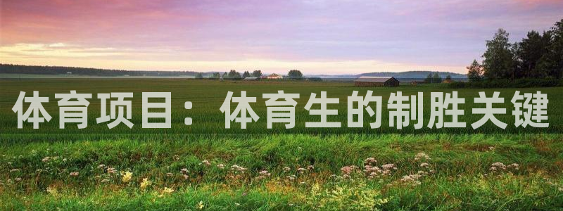 星欧娱乐平台测速线路设置