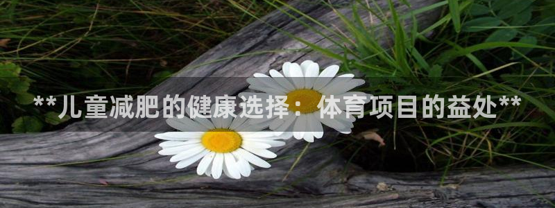 星欧娱乐游戏中心官网登录