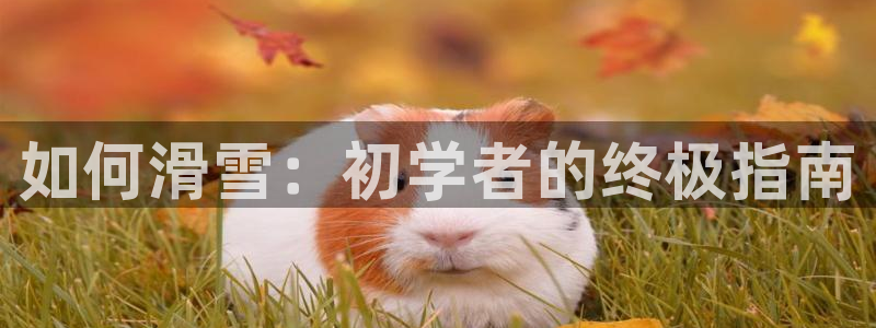 星奥娱乐集团股份有限公司