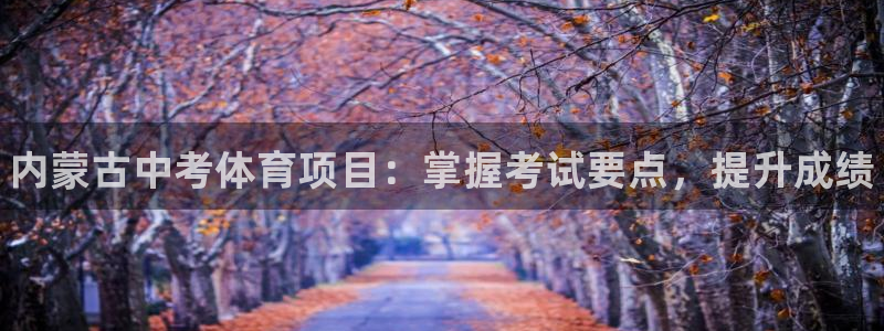 星欧娱乐挂机赚钱是真的吗