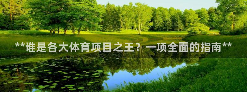 星欧娱乐属于什么档次的公司